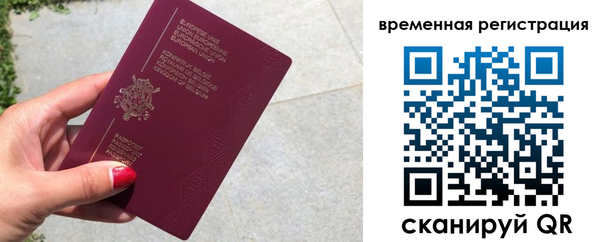 пропишу в квартире в Новгородской области