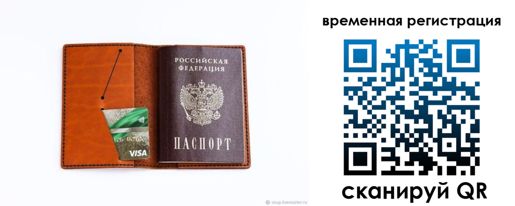 прописка для школы в Новгородской области